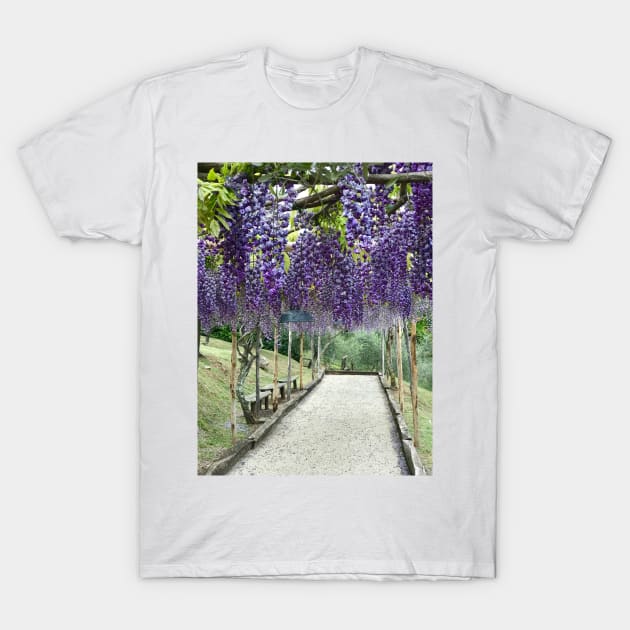 Purple Wisteria T-Shirt by ephotocard